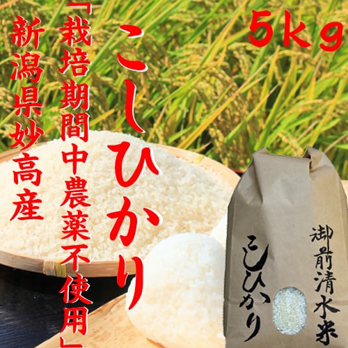 御前清水米-5kg(限定販売） 「新米 令和元年」