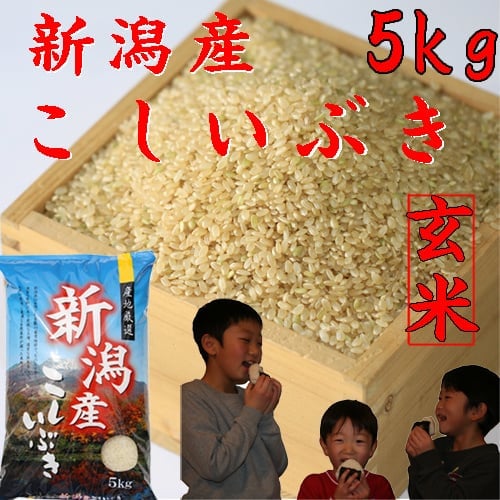 新潟県産こしいぶき玄米
