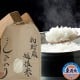 籾貯蔵・越後米コシヒカリ(無洗米）